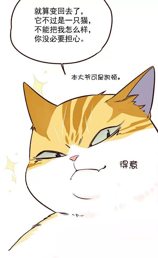 觉醒吧，铲屎官！6话