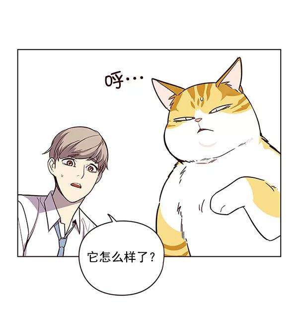 觉醒吧，铲屎官！6话