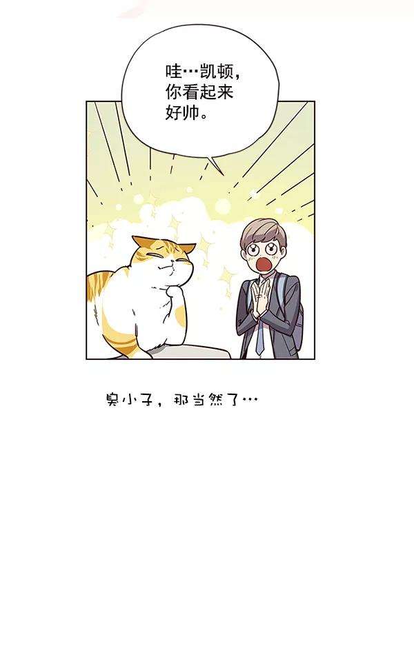 觉醒吧，铲屎官！6话