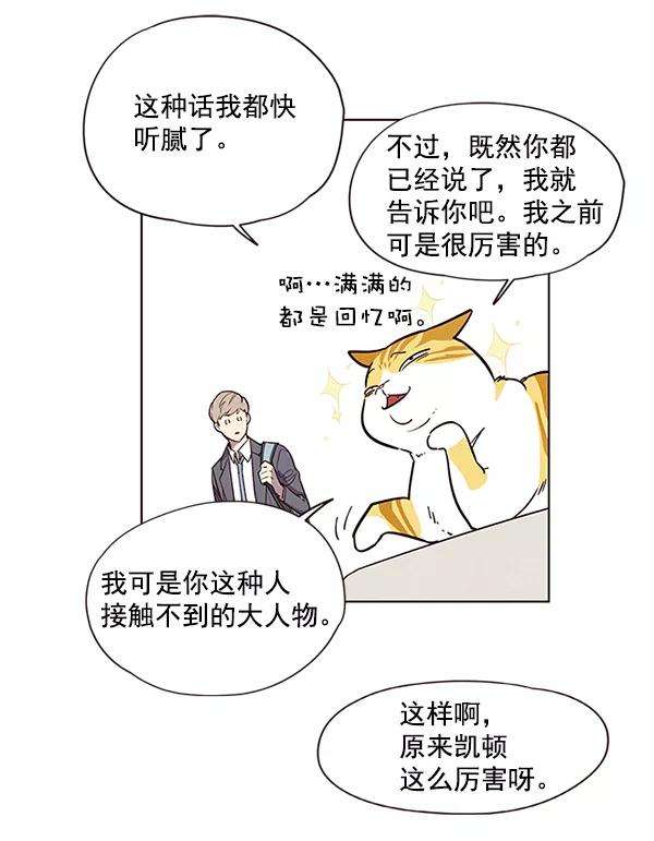 觉醒吧，铲屎官！6话