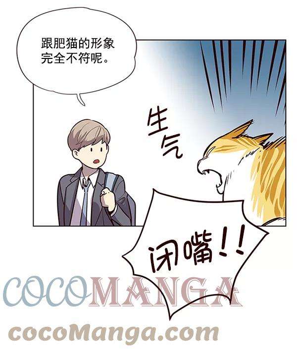 觉醒吧，铲屎官！6话