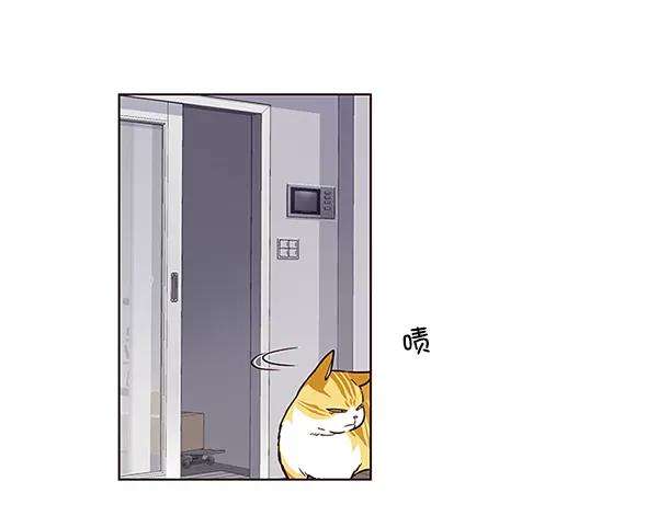 觉醒吧，铲屎官！6话