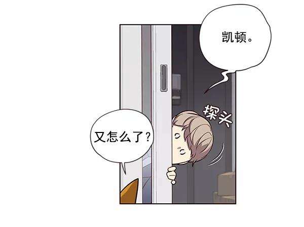 觉醒吧，铲屎官！6话