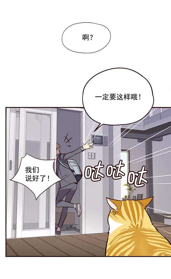 觉醒吧，铲屎官！6话