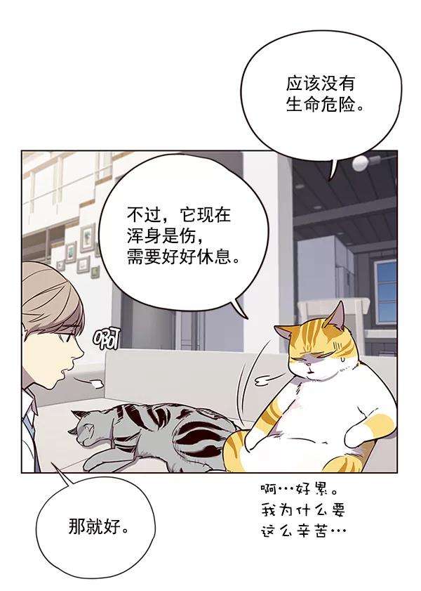 觉醒吧，铲屎官！6话