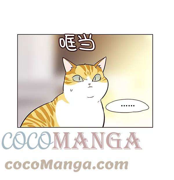 觉醒吧，铲屎官！6话