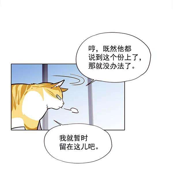 觉醒吧，铲屎官！6话