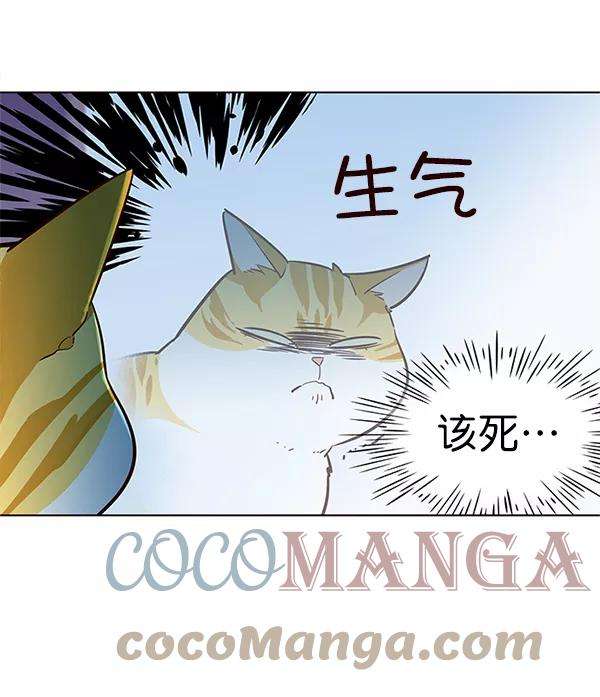 觉醒吧，铲屎官！6话