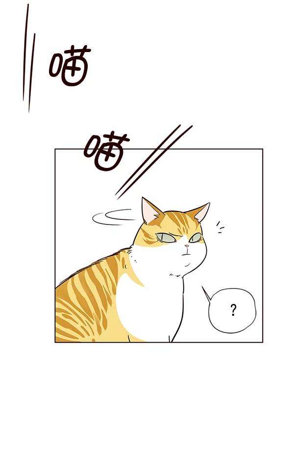 觉醒吧，铲屎官！6话