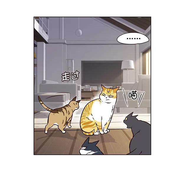 觉醒吧，铲屎官！6话