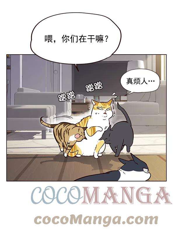 觉醒吧，铲屎官！6话