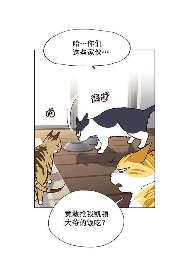 觉醒吧，铲屎官！6话