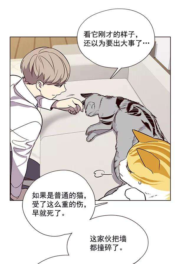 觉醒吧，铲屎官！6话
