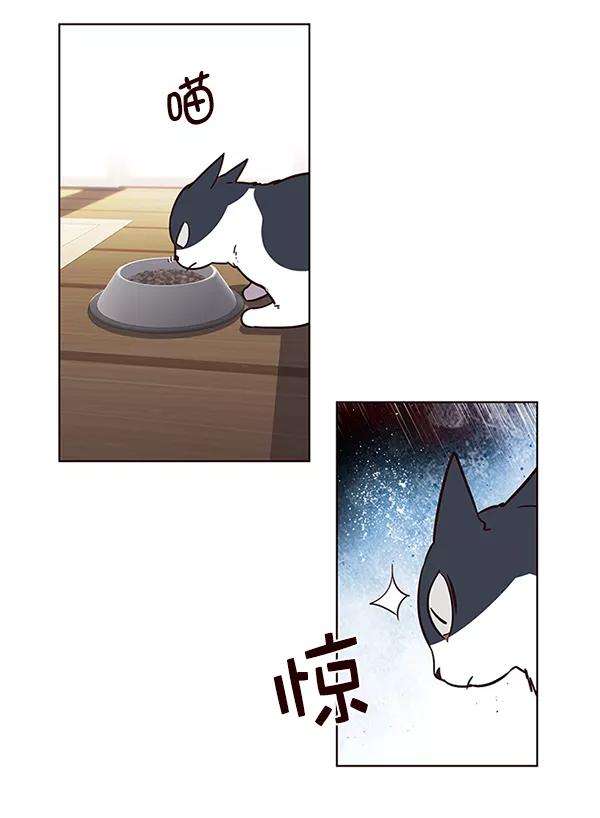 觉醒吧，铲屎官！6话