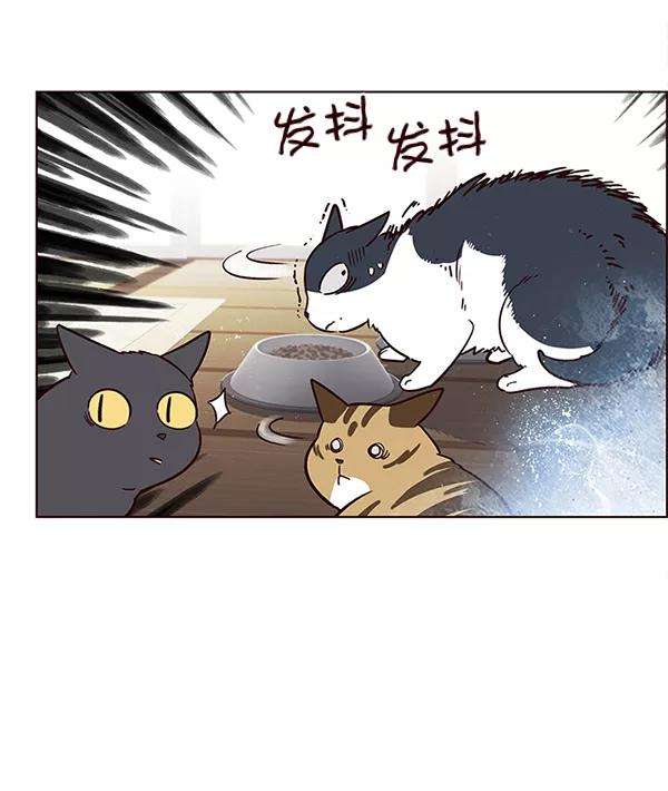觉醒吧，铲屎官！6话