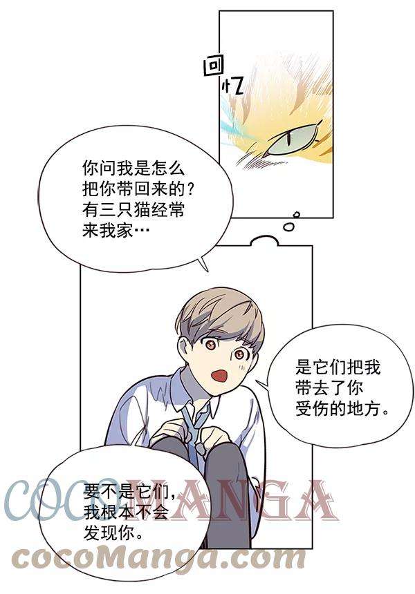 觉醒吧，铲屎官！6话