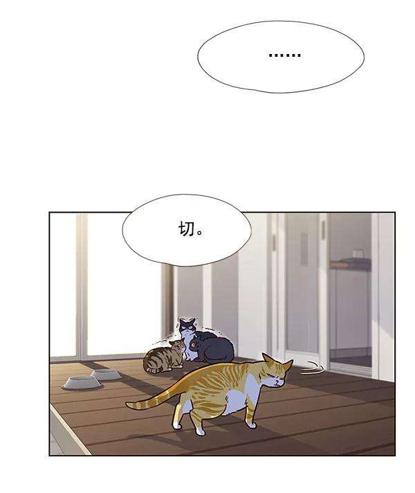 觉醒吧，铲屎官！6话