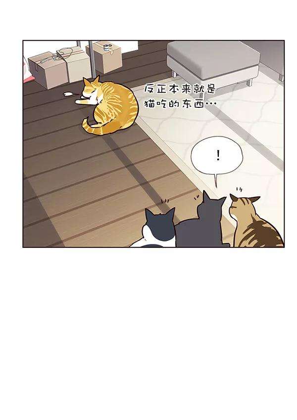 觉醒吧，铲屎官！6话