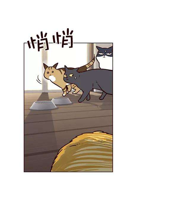 觉醒吧，铲屎官！6话