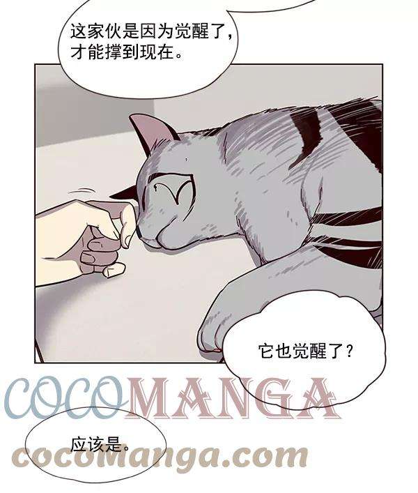 觉醒吧，铲屎官！6话