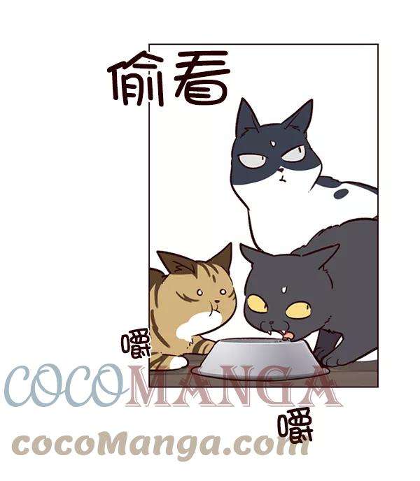觉醒吧，铲屎官！6话