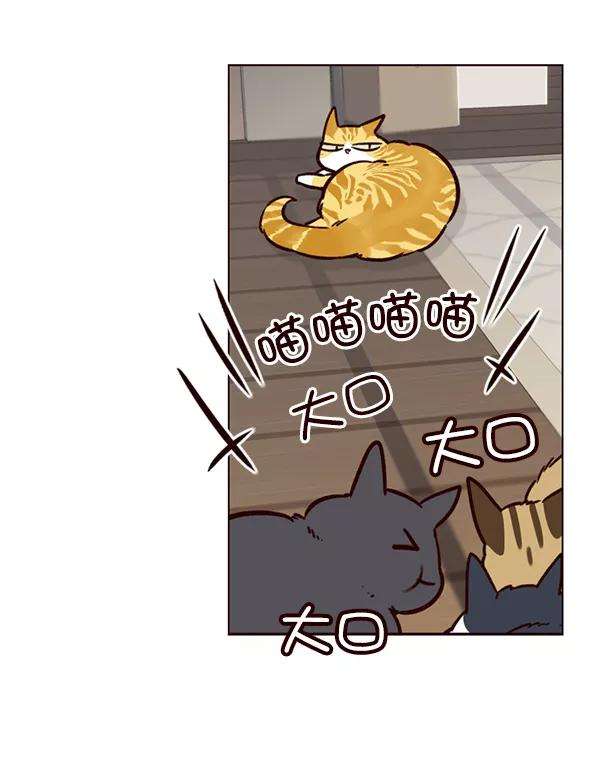 觉醒吧，铲屎官！6话