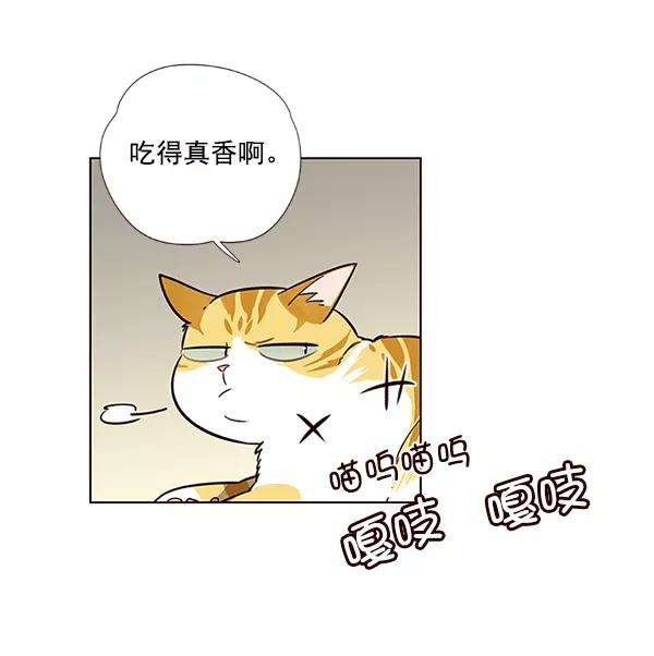 觉醒吧，铲屎官！6话