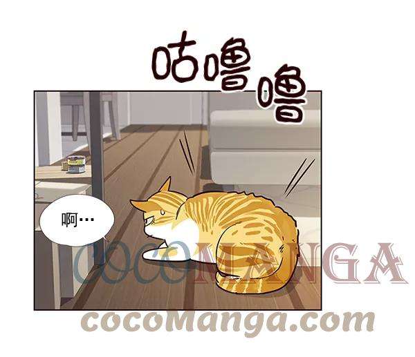 觉醒吧，铲屎官！6话