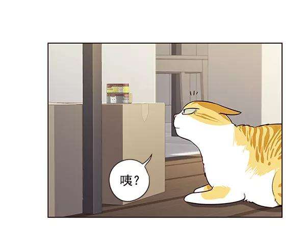 觉醒吧，铲屎官！6话
