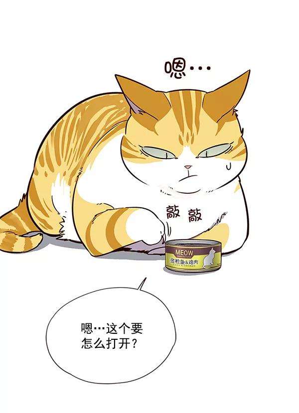 觉醒吧，铲屎官！6话