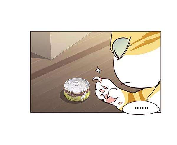 觉醒吧，铲屎官！6话