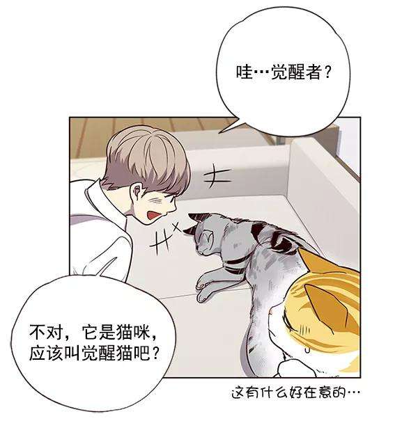 觉醒吧，铲屎官！6话