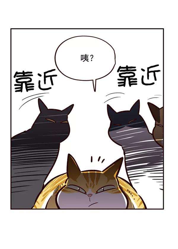 觉醒吧，铲屎官！6话