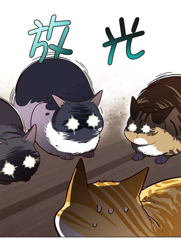 觉醒吧，铲屎官！6话