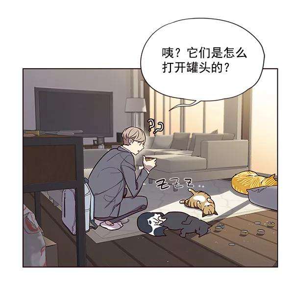 觉醒吧，铲屎官！6话