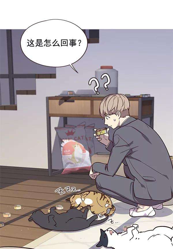 觉醒吧，铲屎官！6话