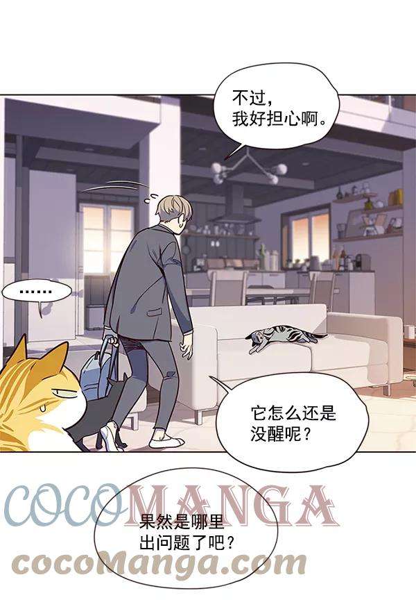 觉醒吧，铲屎官！7话