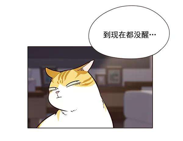 觉醒吧，铲屎官！7话