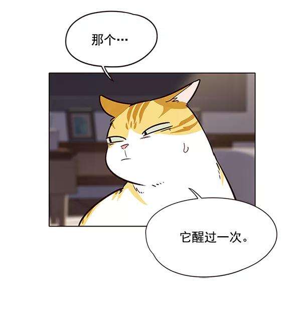 觉醒吧，铲屎官！7话