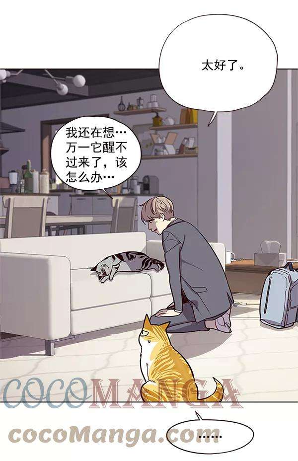 觉醒吧，铲屎官！7话