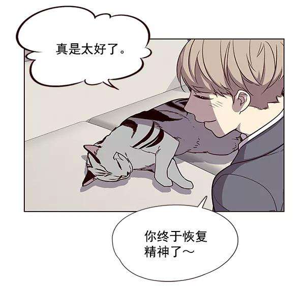 觉醒吧，铲屎官！7话