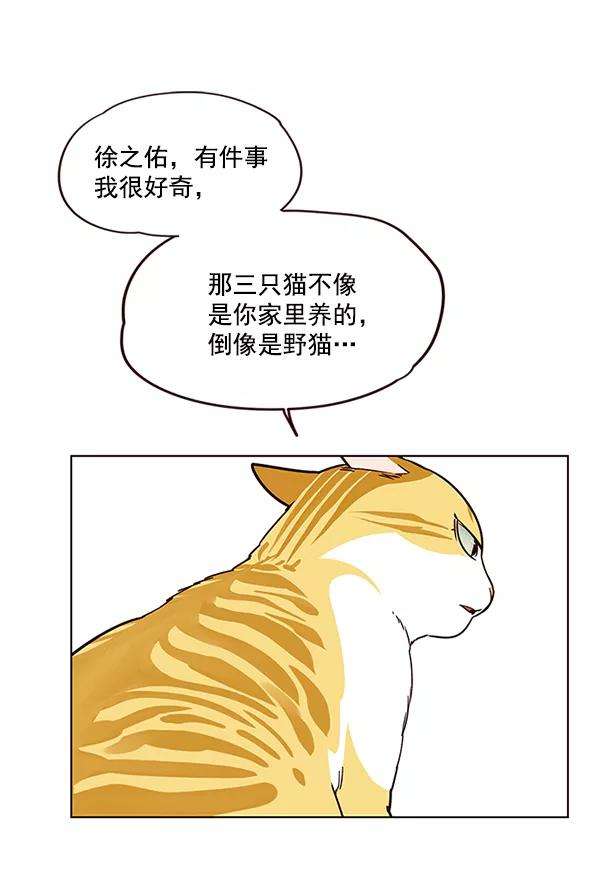 觉醒吧，铲屎官！7话