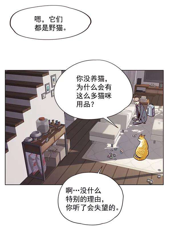 觉醒吧，铲屎官！7话