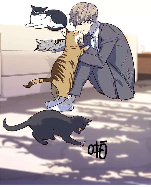 觉醒吧，铲屎官！7话