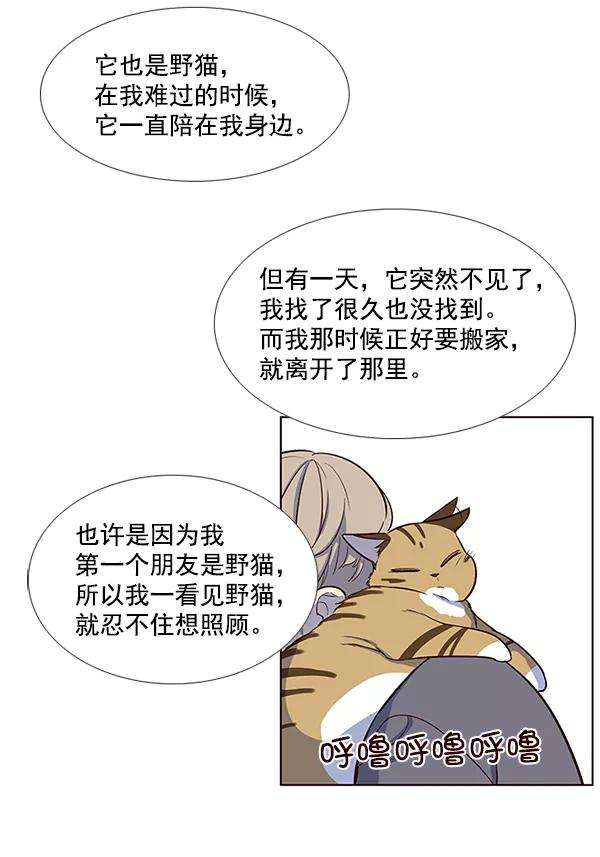 觉醒吧，铲屎官！7话