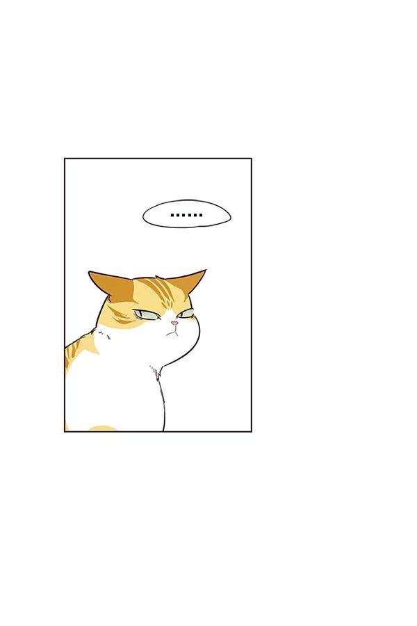 觉醒吧，铲屎官！7话