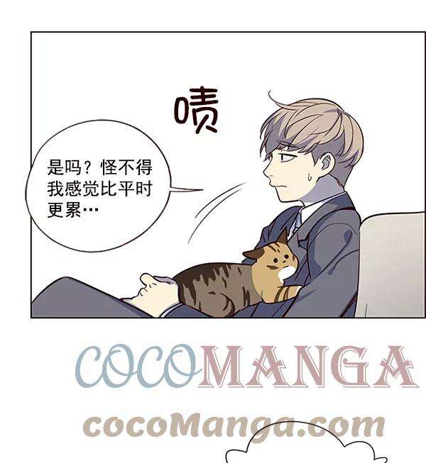 觉醒吧，铲屎官！7话