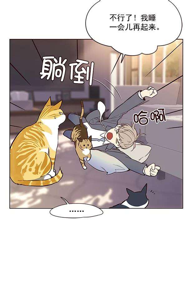 觉醒吧，铲屎官！7话