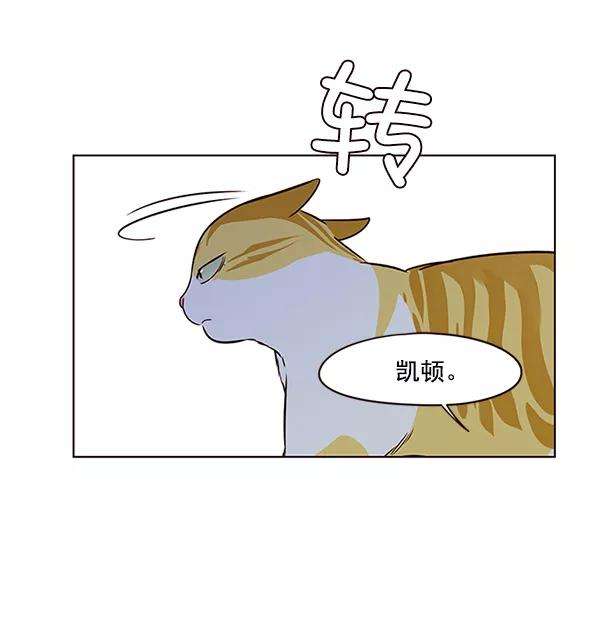 觉醒吧，铲屎官！7话