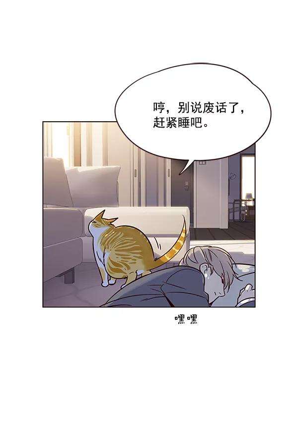 觉醒吧，铲屎官！7话